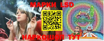 индика Можайск