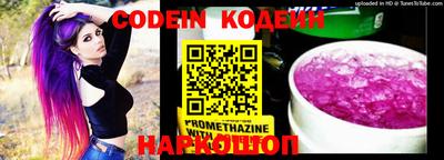 индика Можайск