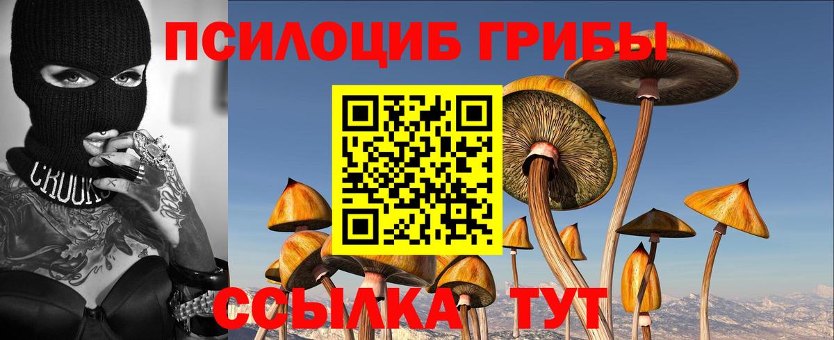 Псилоцибиновые грибы мухоморы  Вход с VPN  Урус-Мартан  Галлюциногенные грибы мухоморы 